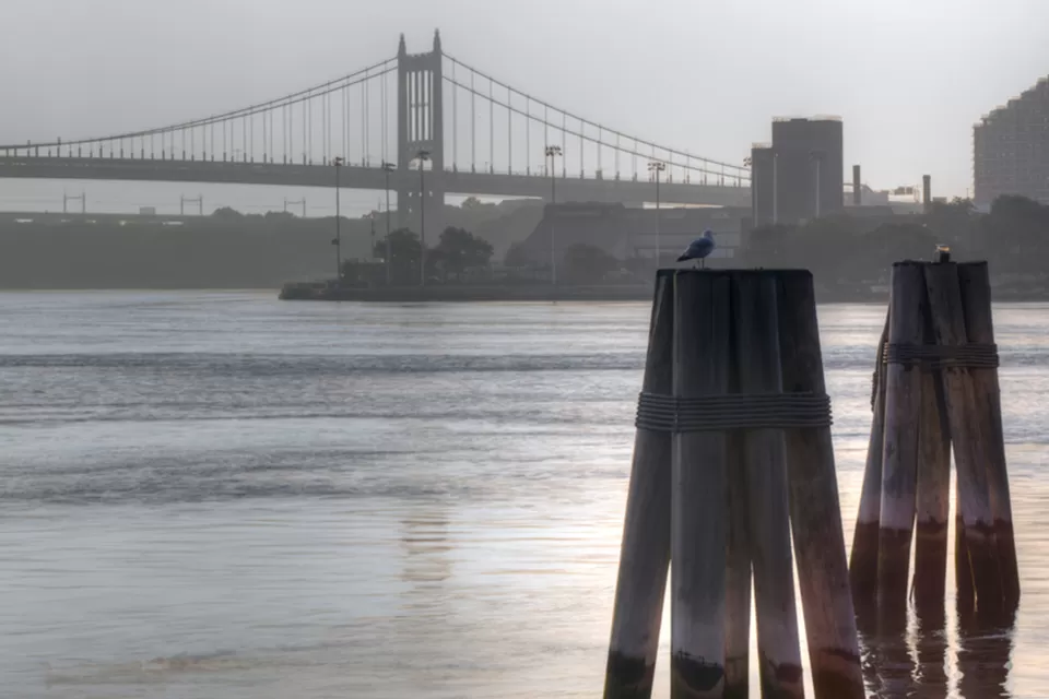 Robert F. Kennedy Bridge
